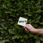 Built a website for $295 and made $1000 in a month—here’s how I did it!